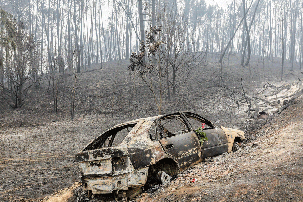 Imagen de una parte del área devastada por el incendio en Portugal. 