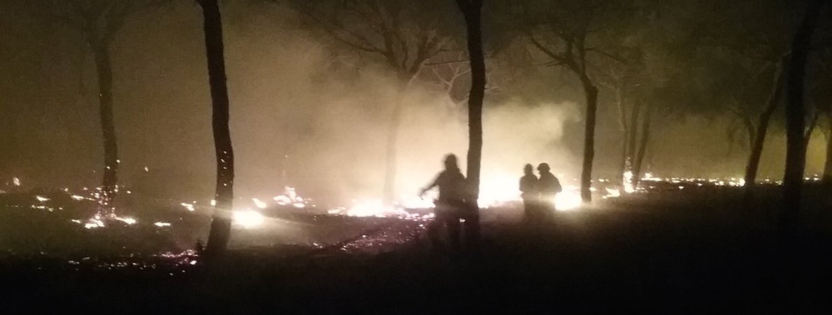 Efectivos del Infoca esta madrugada combatiendo el fuego de Mazagón.