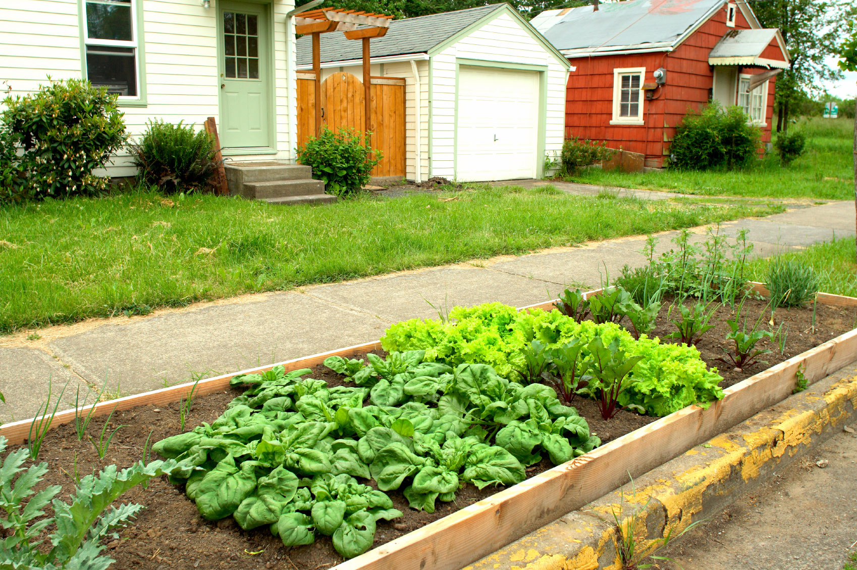 Como empezar con tu huerto urbano en tu balcón o jardín