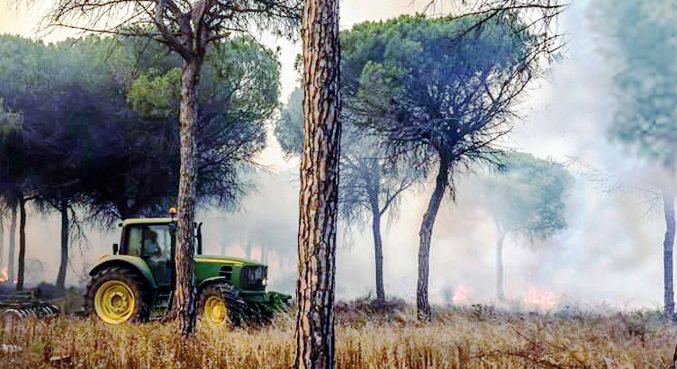 Un tractor trabajando en la zona del incendio de Moguer para aislar las llamas.