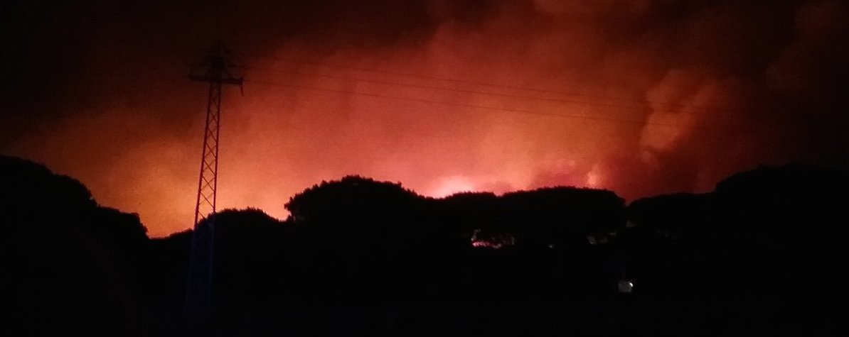 Imagen del incendio de Doñana, ya sofocado este martes.