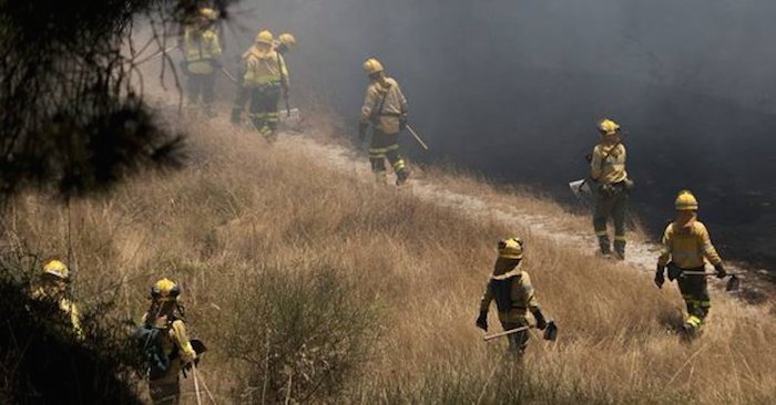 Efectivos del INFOCA combatiendo el fuego de Mazagón, que ha arrasado casi 8.500 hectáreas.