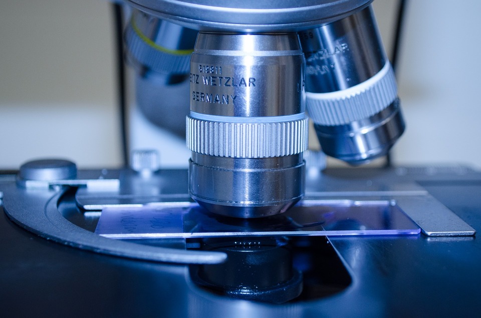 Consiguen visualizar la metástasis del melanoma antes de que se produzca Consiguen visualizar la metástasis del melanoma antes de que se produzca