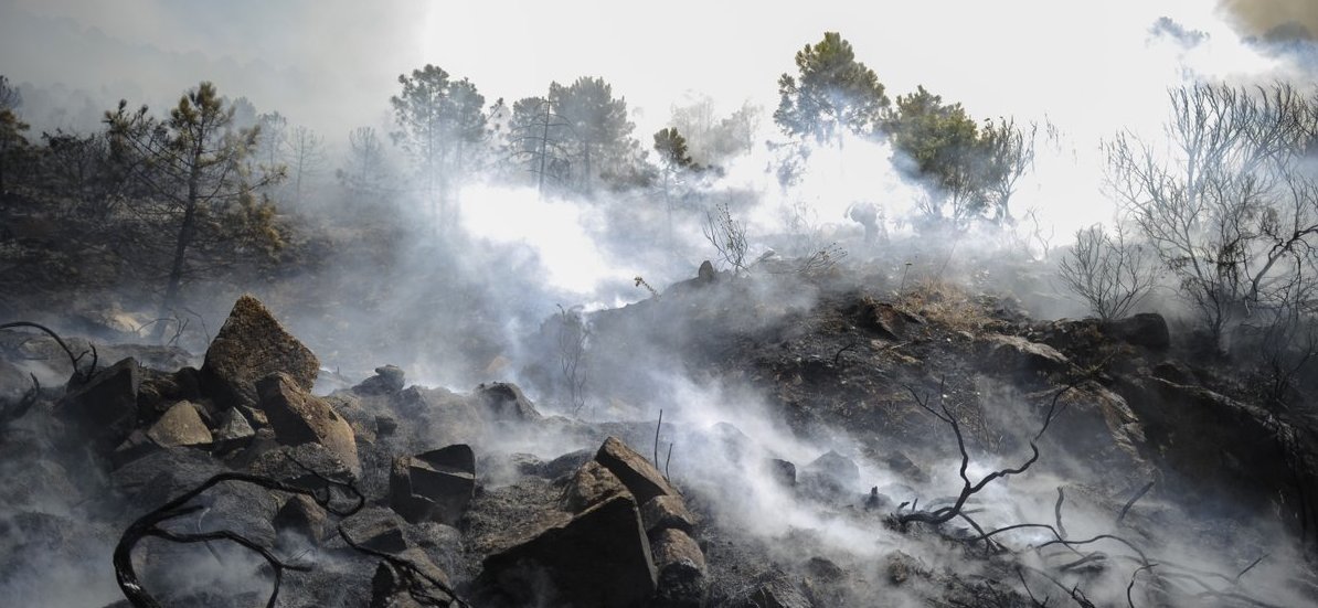 Estremecedora imagen de la devastación causada en Doñana por el incendio provocado en Moguer.