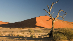 Desierto. Foto: Luca Galuzzi