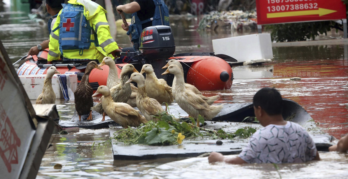 Las lluvias torrenciales han dejado en los últimos días al menos 56 muertos y 22 desaparecidos en el centro y sur de China. EFE