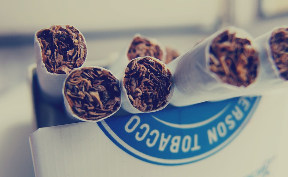 Varios cigarrillos en una cajetilla Varios cigarrillos en una cajetilla