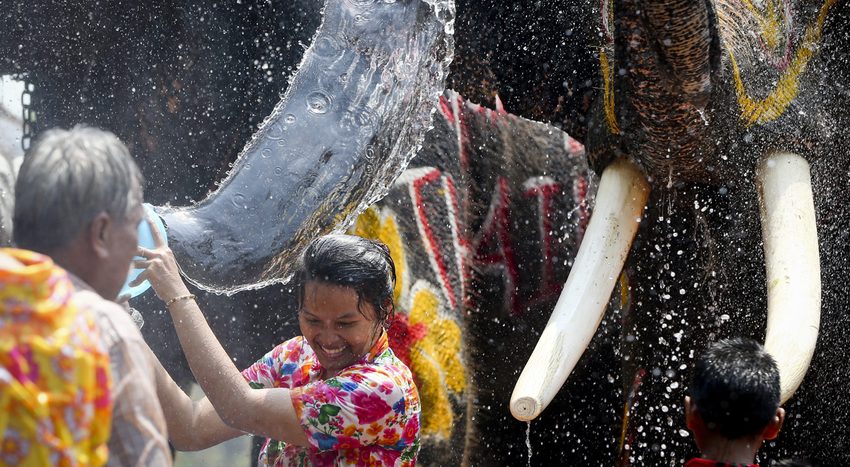 Una mujer arroja agua a un elefante durante la presentación del próximo festival Songkran, el Año Nuevo tradicional tailandés, en la localidad de Ayutthaya (Tailandia), el pasado mes de abril. Una mujer arroja agua a un elefante durante la presentación del próximo festival Songkran, el Año Nuevo tradicional tailandés, en la localidad de Ayutthaya (Tailandia), el pasado mes de abril.
