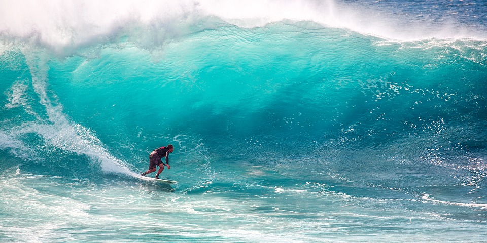 Años salvajes', del surf al Premio Pulitzer