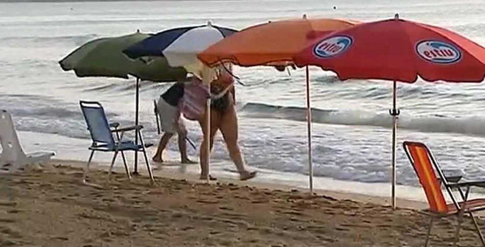 Sombrillas colocadas a la orilla del mar en una playa