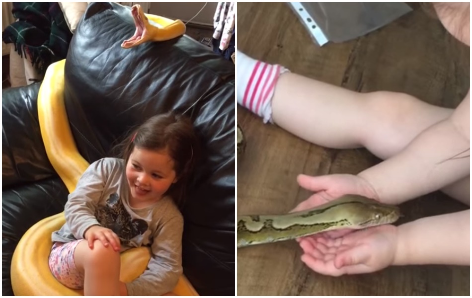 Edness Taoka publica con frecuencia vídeos de su hija jugando con sus mascotas. 