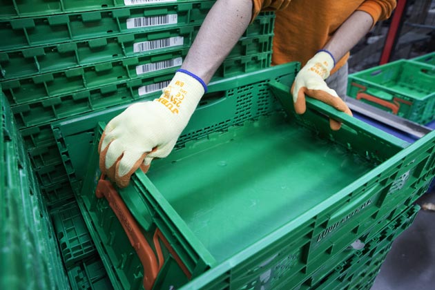 Caja de fruta de Logifruit. 