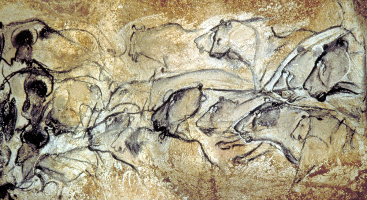 Los dibujos de la cueva de "Chauvet"