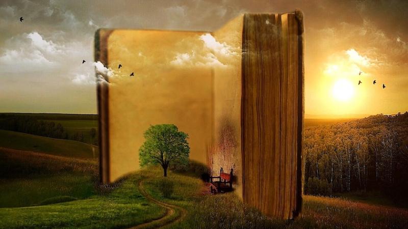 Bookcrossing en Madrid