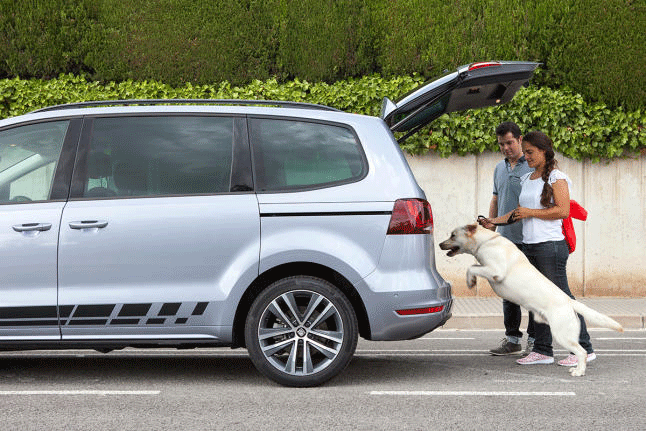 Consejos para viajar con mascotas