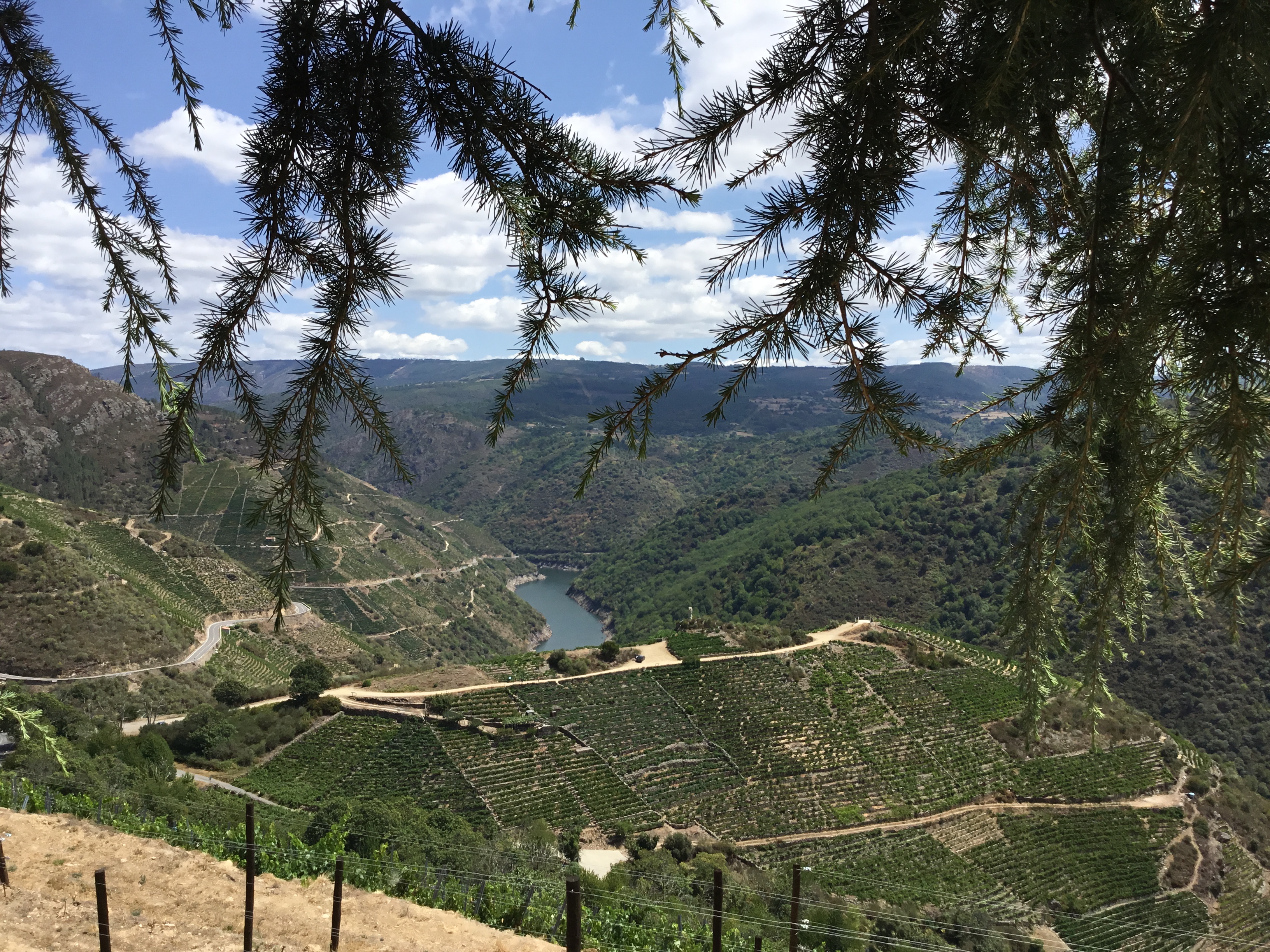 Ribeira Sacra: donde lo insólito es posible y el vino brota de un mito