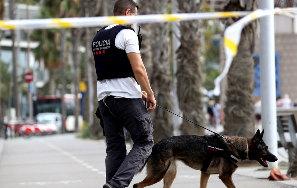 Un agente de los Mossos D'Esquadra. 