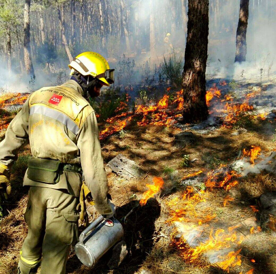 Bombero forestal actuando en un incendio