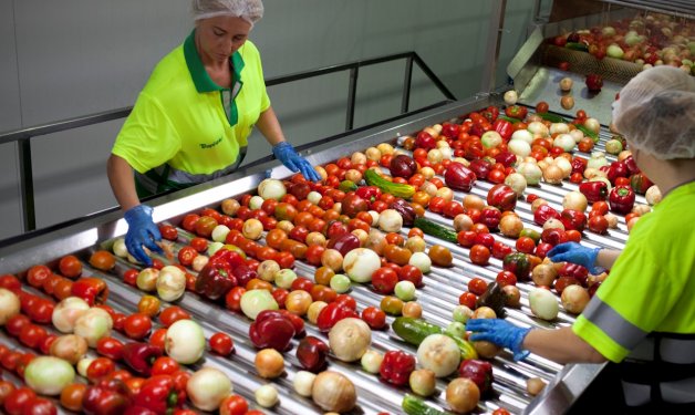 Planta de produccion de Alvalle en Murcia. 