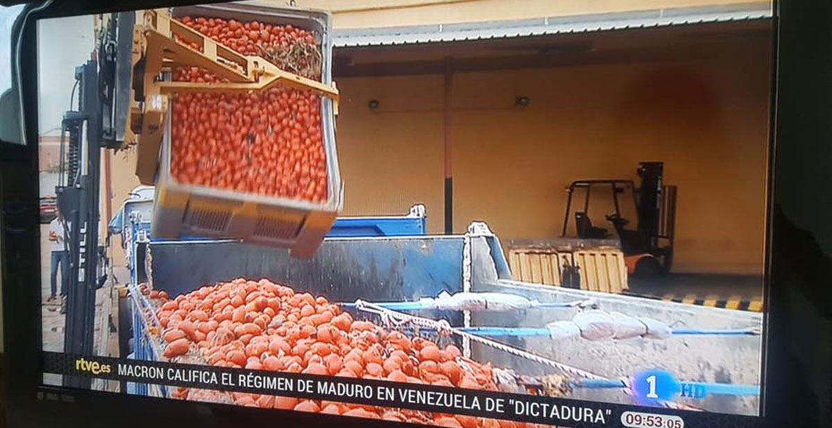 Retransmisión de TVE