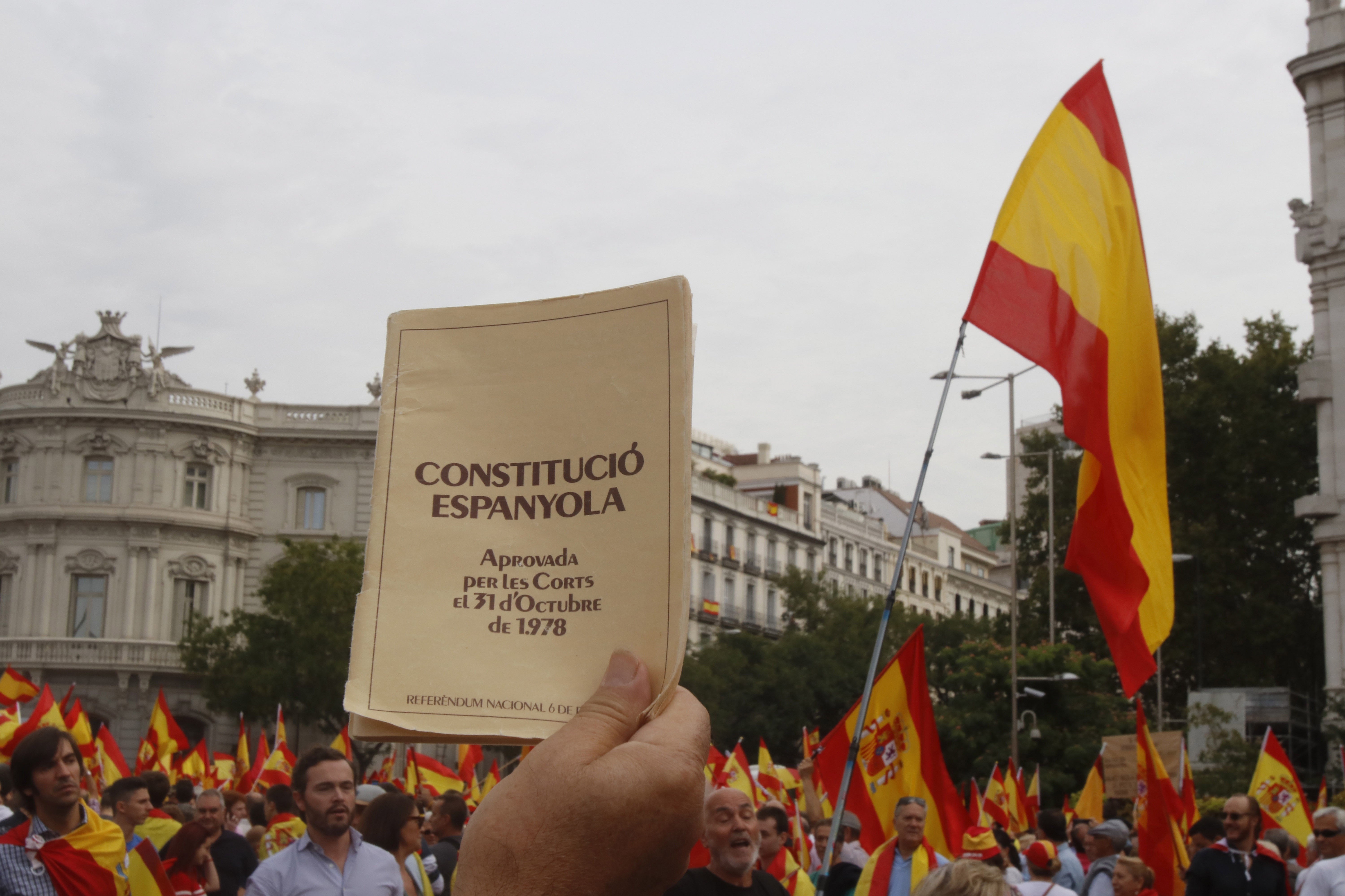 Simpatizantes de DENAES, en la plaza de Cibeles durante la manifestación que protagonizaron  en Madrid. 