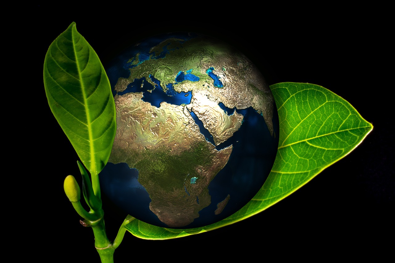 Planeta Tierra y ecología. Pixabay