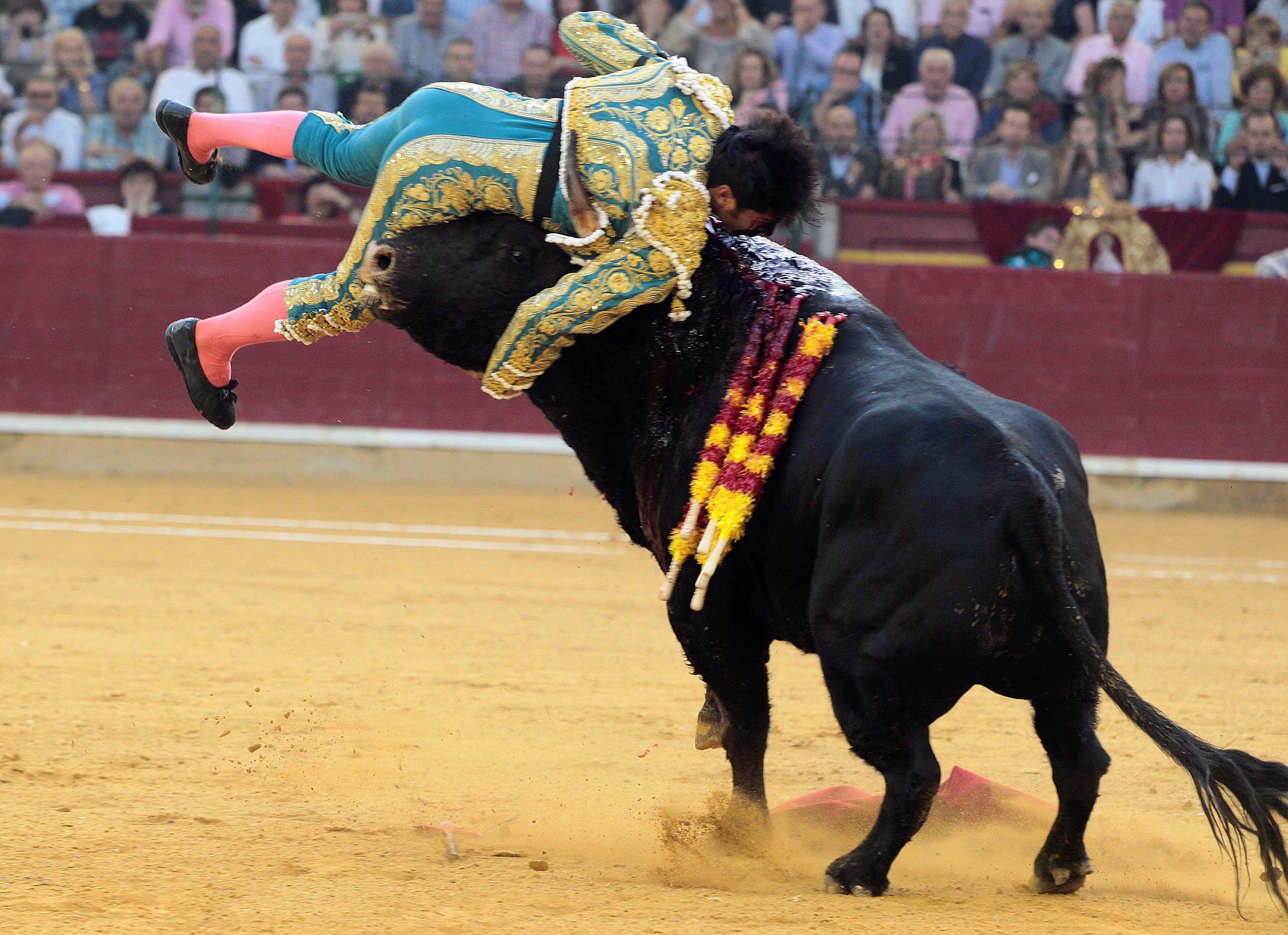 Momento exacto de la cogida al diestro Cayetano Rivera