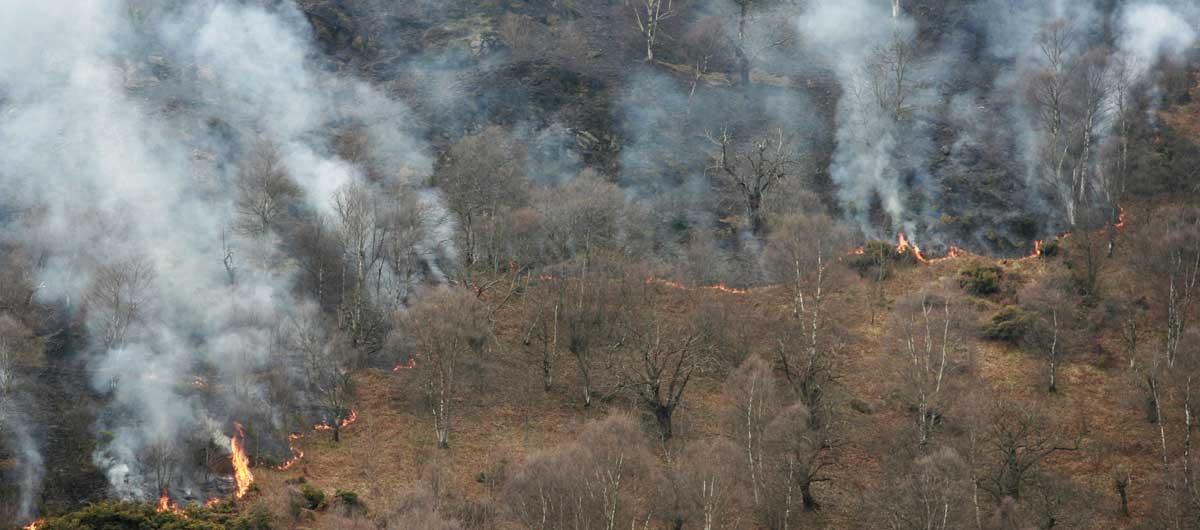 Incendio forestal en Asturias. 