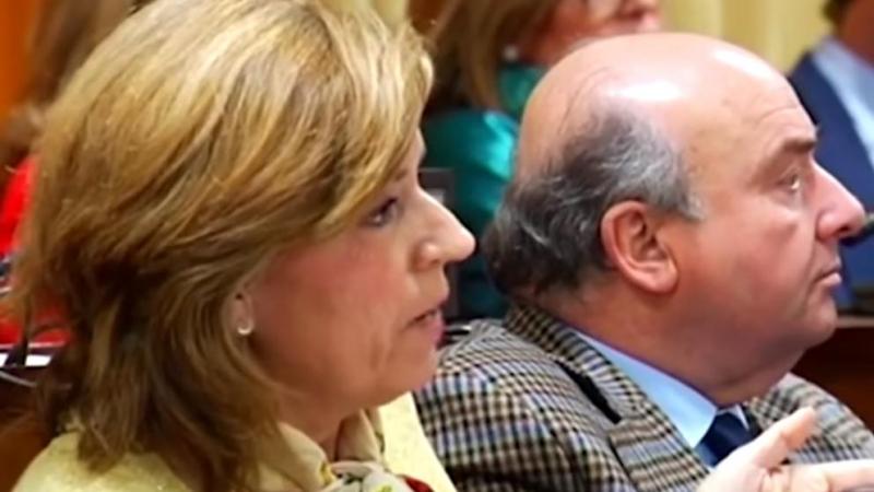 María Jesús Botella en el pleno de Córdoba.