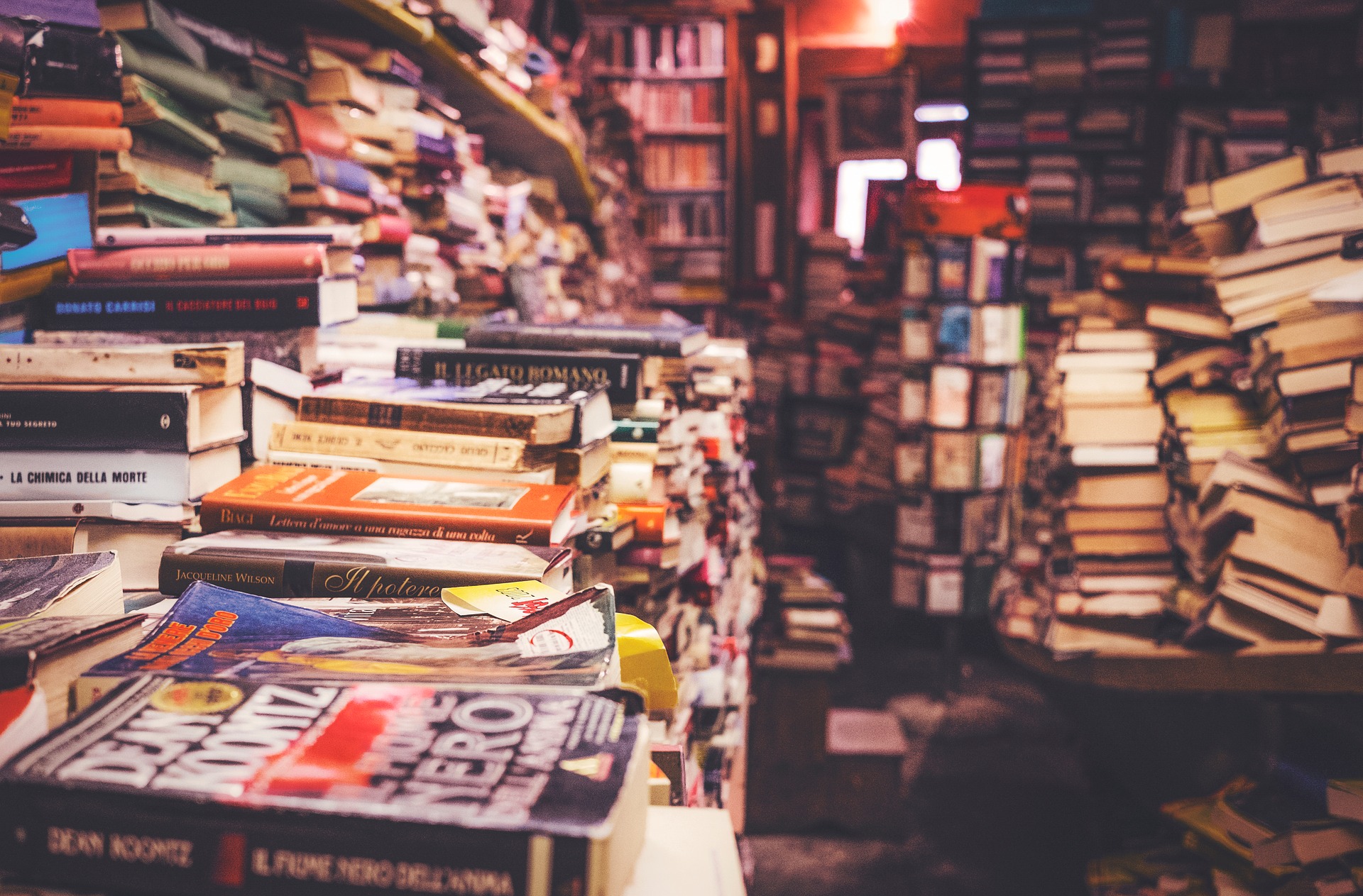 La belleza de una librería nueva