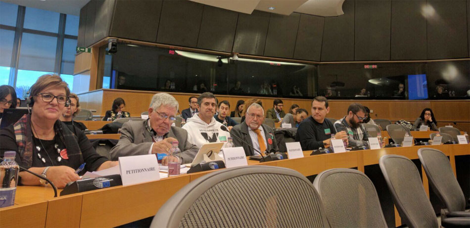 Miembros de la Plataforma Pro Soterramiento en la Comisión de Peticiones del Parlamento Europeo