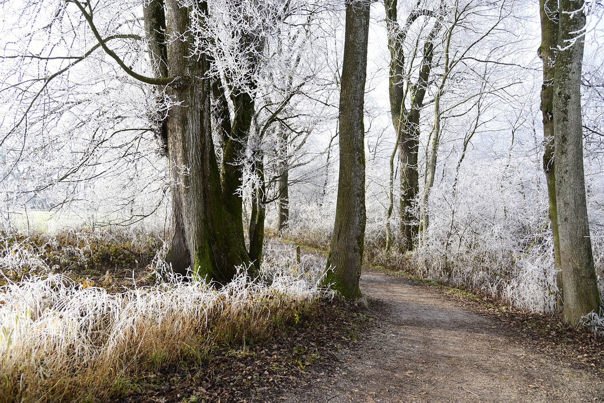 Imagen de un paisaje tras un día con temperaturas gélidas.