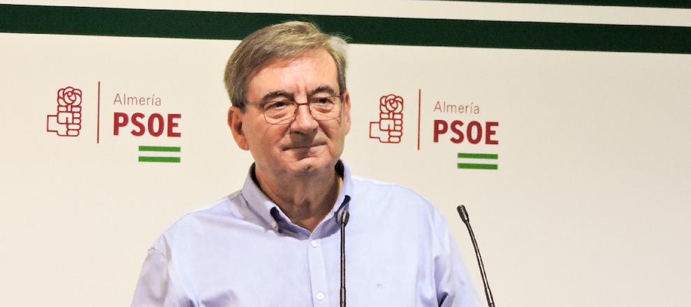 Fernando Martínez, exalcalde de Almería y secretario local del PSOE en la capital.