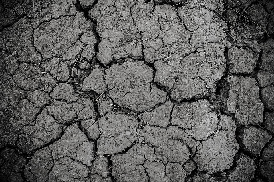SosSequía, la plataforma ciudadana que nos advierte del drama de nuestra escasez de agua
