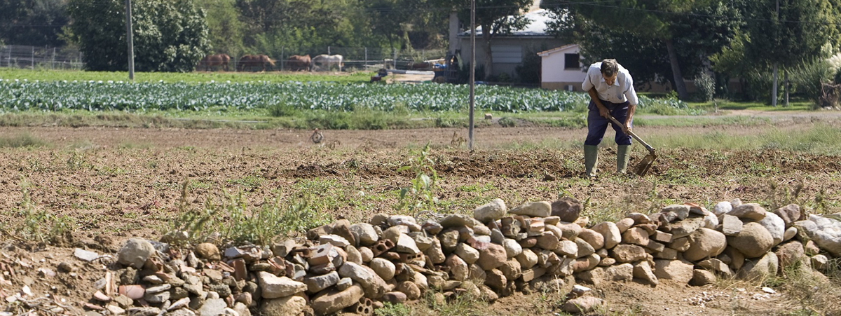 La Obra Social ”la Caixa” ha concedido ayudas por valor de 997.940 euros a 43 proyectos de acción social en el ámbito rural