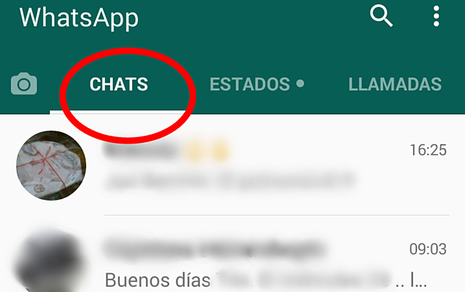 Chat sin