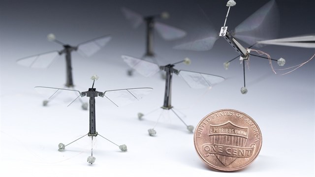 Drones insecto con programación neuronal