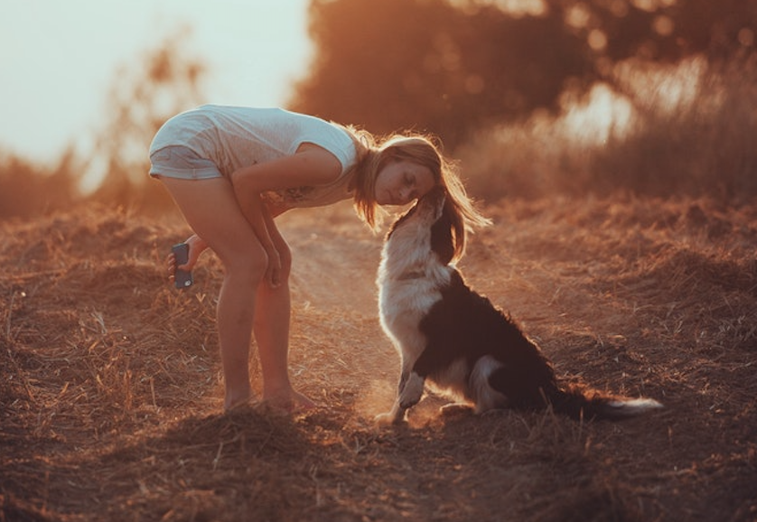 Queremos a los perros como a los niños