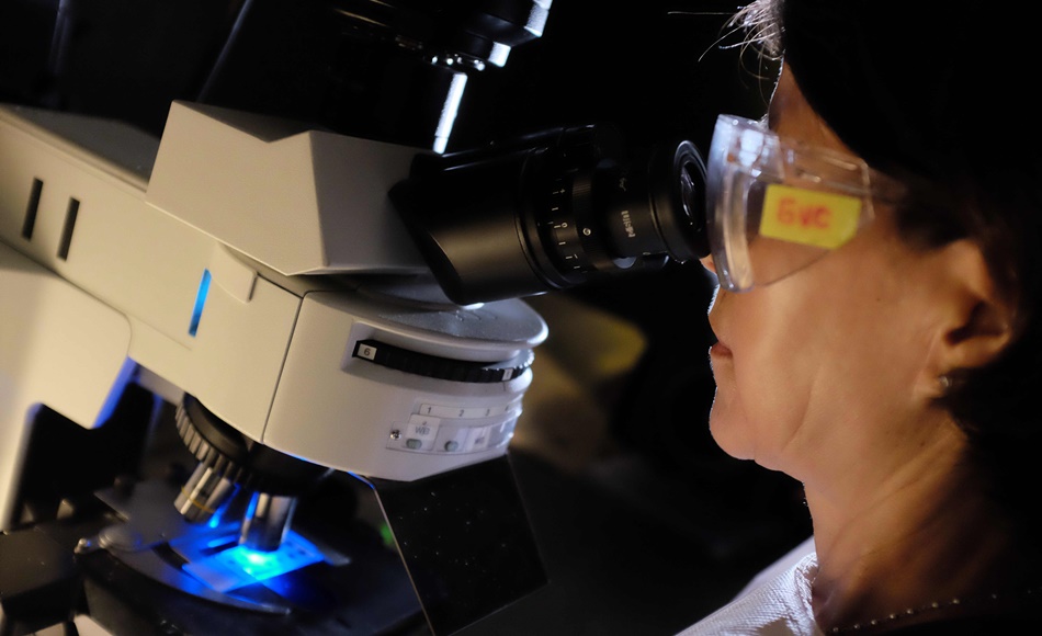 La campaña finalizará el 11 de febrero, Día Internacional de las Mujeres y las Niñas en la Ciencia. 