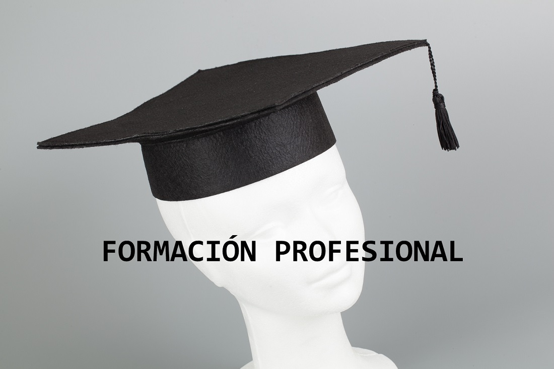 El alumnado de FP aumenta en mil alumnos en los dos últimos años El alumnado de FP aumenta en mil alumnos en los dos últimos años