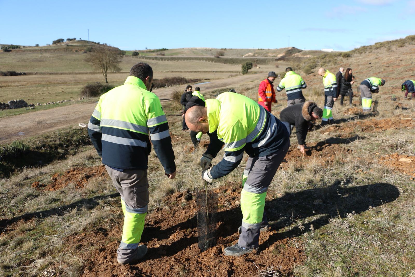 Operarios trabajando en el proyecto Reforesta Zamora