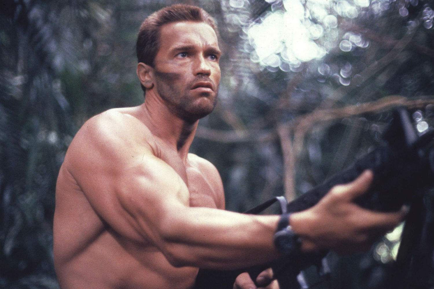 Una nueva especie de insecto llevará el nombre de Arnold Schwarzenegger