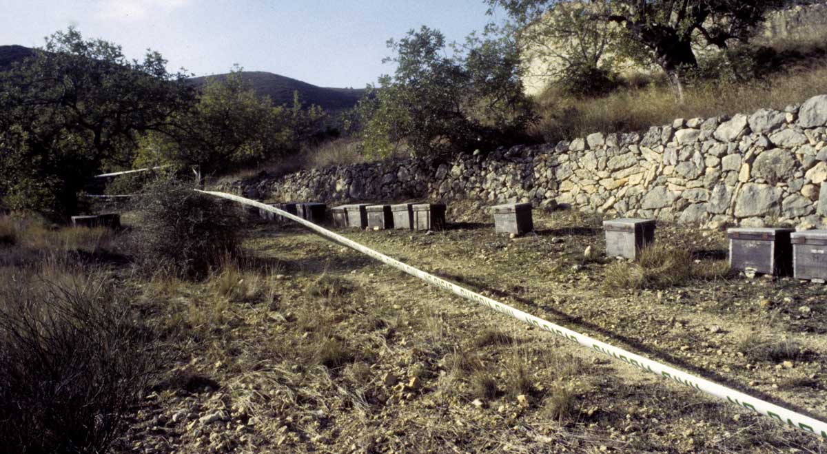 Vista del lugar en el término municipal de Tous, dónde encontraron los cadáveres de las tres niñas, Miriam, Desiree y Toñi de Alcácer.