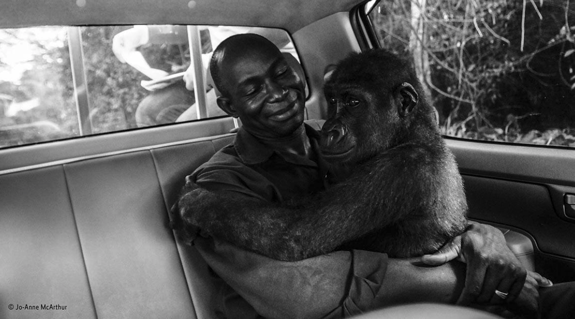 Cuando la relación entre humano y animal tiene premio