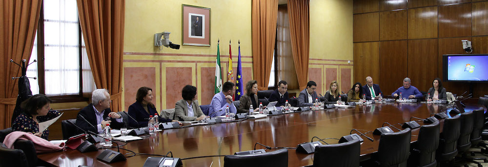 El grupo de trabajo sobre financiación autonómica del Parlamento de Andalucía.