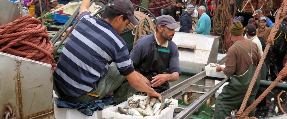 Pescadores andaluces en una lonja.
