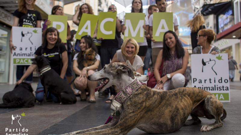 Imagen de la campaña electoral del PACMA para el 26J