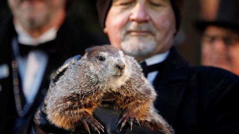 El cuidador John Grifiths sostiene a la marmota Phil cuando se lee la predicción para este año en Punxsutawney, Pensilvania el Día de la marmota