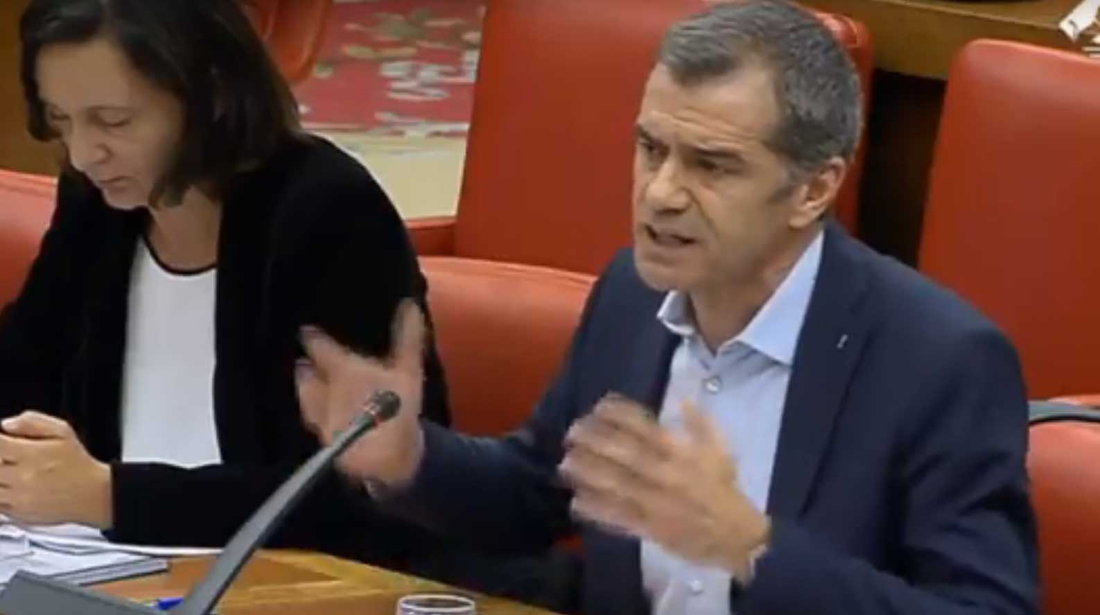 Toni Cantó durante una sesión de la comisión de investigación de la caja B del PP