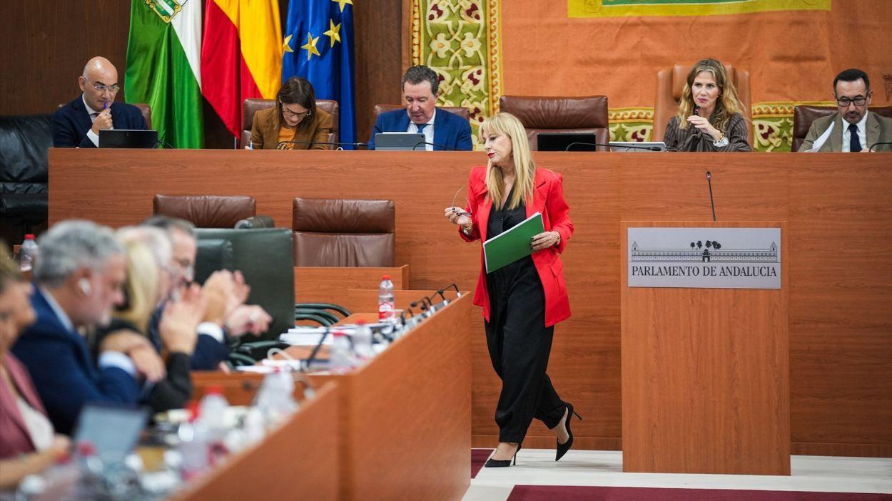 La vicepresidenta tercera y consejera de Economía, Hacienda y Fondos Europeos, Carolina España (c), tras su intervención en el pleno / EP